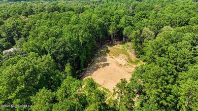 3-acre waterfront lot in Spring Brook Farms, located just off - photo 6