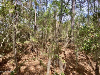 Live Oaks at Battery Creek. Buildable 1/4-acre lot near the - photo 27