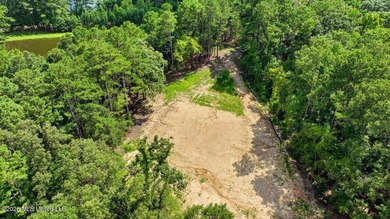 3-acre waterfront lot in Spring Brook Farms, located just off - photo 7