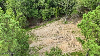 3-acre waterfront lot in Spring Brook Farms, located just off - photo 8