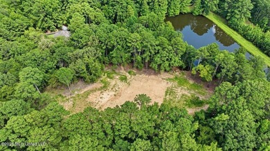 3-acre waterfront lot in Spring Brook Farms, located just off - photo 10