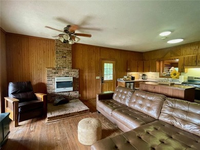 Welcome home to your Ozark oasis on the beautiful George's - photo 3