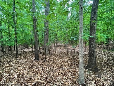 Build your dream home in the highly sought-after Chickasaw Point - photo 2