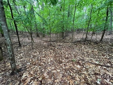 Build your dream home in the highly sought-after Chickasaw Point - photo 3