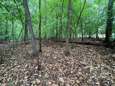 Build your dream home in the highly sought-after Chickasaw Point - photo 4