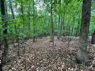 Build your dream home in the highly sought-after Chickasaw Point - photo 5