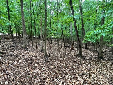 Build your dream home in the highly sought-after Chickasaw Point - photo 6