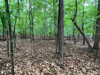 Build your dream home in the highly sought-after Chickasaw Point - photo 7