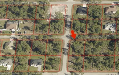 Lehigh Acres Area Lot For Sale in Lehigh Acres Florida