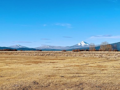 Sportsman paradise featuring 3200 feet of Williamson River - photo 3