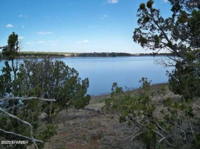 Lake Lot For Sale in Show Low, Arizona