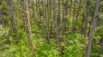 Build your dream home on this beautiful 0.362-acre lot located - photo 11