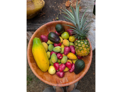 Experience Wai Mana Sanctuary-an organically cultivated food - photo 12