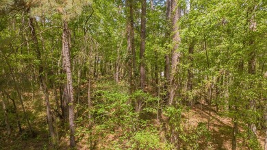 Build your dream home on this beautiful 0.362-acre lot located - photo 12