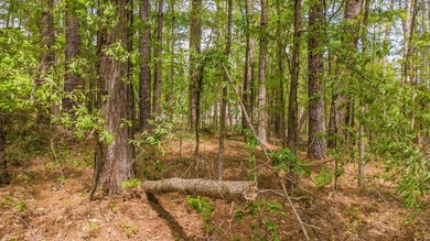 Build your dream home on this beautiful 0.362-acre lot located - photo 13
