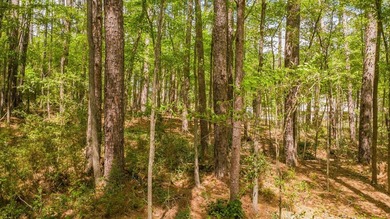 Build your dream home on this beautiful 0.362-acre lot located - photo 14