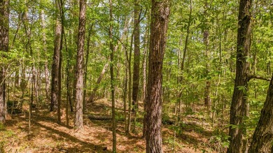 Build your dream home on this beautiful 0.362-acre lot located - photo 15