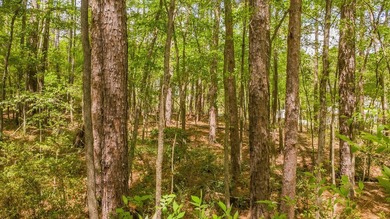 Build your dream home on this beautiful 0.362-acre lot located - photo 16