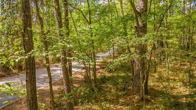 Build your dream home on this beautiful 0.362-acre lot located - photo 17