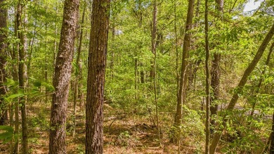 Build your dream home on this beautiful 0.362-acre lot located - photo 18