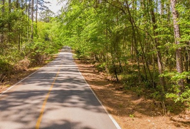 Build your dream home on this beautiful 0.362-acre lot located - photo 19