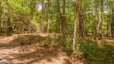 Build your dream home on this beautiful 0.362-acre lot located - photo 20