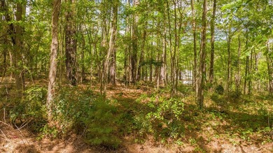 Build your dream home on this beautiful 0.362-acre lot located - photo 21