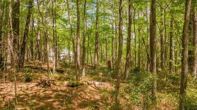 Build your dream home on this beautiful 0.362-acre lot located - photo 22