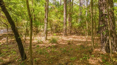 Build your dream home on this beautiful 0.362-acre lot located - photo 23