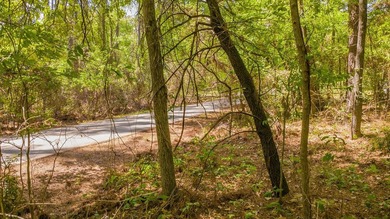 Build your dream home on this beautiful 0.362-acre lot located - photo 24