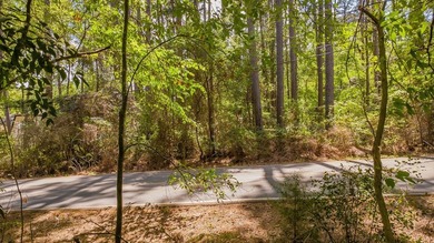 Build your dream home on this beautiful 0.362-acre lot located - photo 25