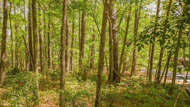 Build your dream home on this beautiful 0.362-acre lot located - photo 26
