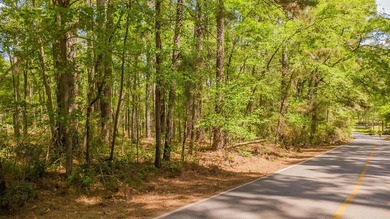 Build your dream home on this beautiful 0.362-acre lot located - photo 27