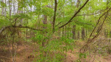 Build your dream home on this beautiful 0.362-acre lot located - photo 28