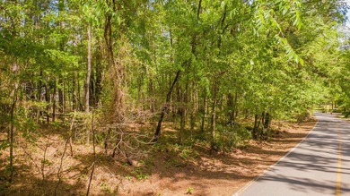 Build your dream home on this beautiful 0.362-acre lot located - photo 29