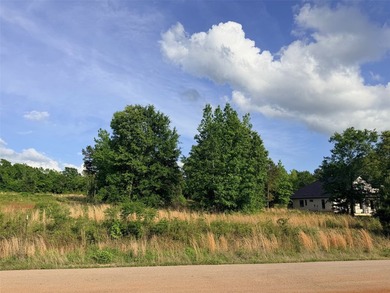 Discover the perfect place to build your dream home on this - photo 10