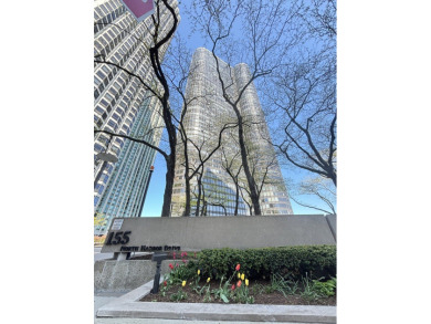 Lake Condo For Sale in Chicago, Illinois