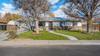 Colorado River Home For Sale in Grand Junction Colorado