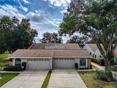 (private lake, pond, creek) Home For Sale in Palm Harbor Florida