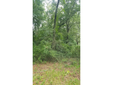 Lake Lot For Sale in Tallahassee, Florida