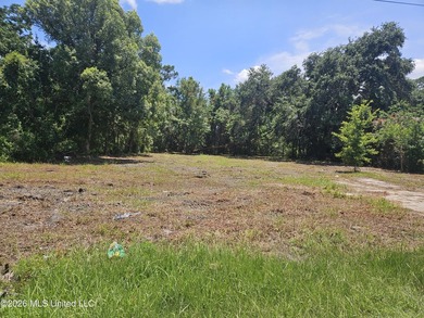 Stop searching and start building! This 0.4-acre lot is clear - photo 2