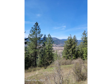 Lake Acreage For Sale in Medimont, Idaho