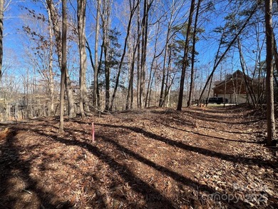Oversized estate lot on the shores of Lake Norman! This large 1 - photo 14
