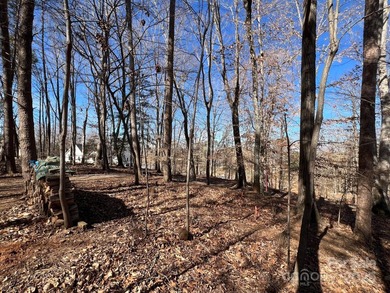 Oversized estate lot on the shores of Lake Norman! This large 1 - photo 15