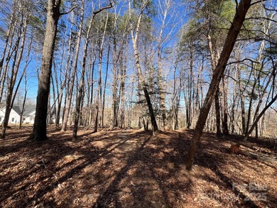 Oversized estate lot on the shores of Lake Norman! This large 1 - photo 16