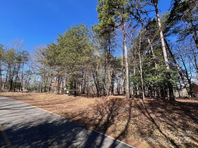 Oversized estate lot on the shores of Lake Norman! This large 1 - photo 17