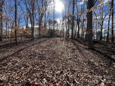 Oversized estate lot on the shores of Lake Norman! This large 1 - photo 21