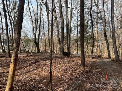 Oversized estate lot on the shores of Lake Norman! This large 1 - photo 22
