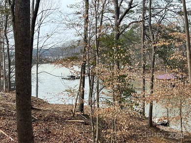 Oversized estate lot on the shores of Lake Norman! This large 1 - photo 23