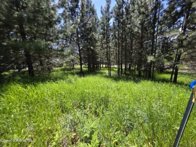 Lake Lot Sale Pending in Harrison, Idaho